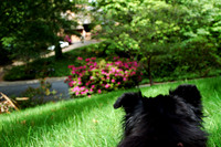 D70_21768.jpg