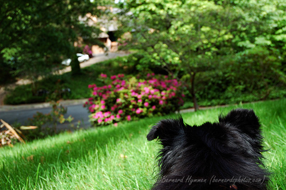 D70_21768.jpg