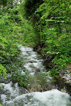 D300_72069