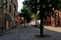 D300_44874.jpg