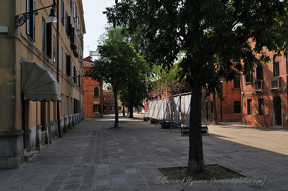 D300_44874.jpg