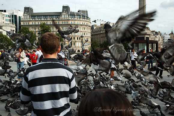 D70_066262004-08-28_01