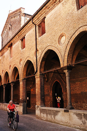 D300_47561.jpg
