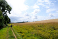 D300_99810