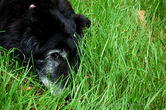 D70_21783.jpg