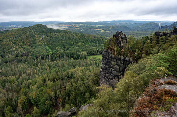 Z6_186395