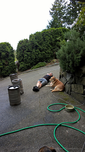 WP_20150510_17_48_35_Pro