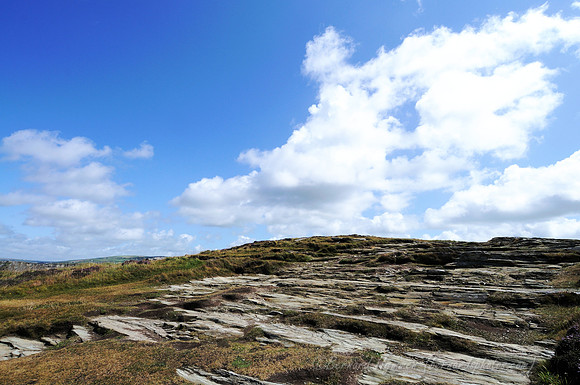D300_100955