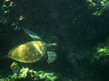 SD800_57926