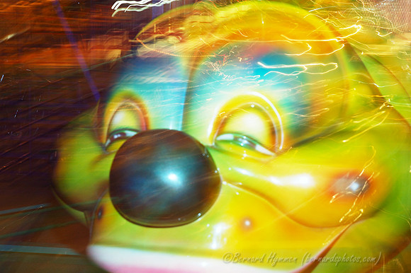 D70_11565