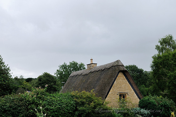 D300_99617