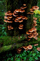 D70_076202004-10-09_01