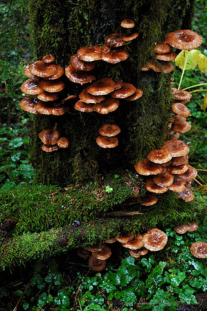 D70_076202004-10-09_01