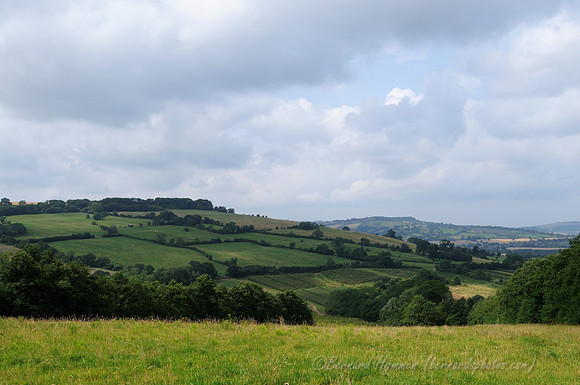 D300_99167