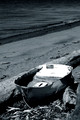 D70_03050_bw