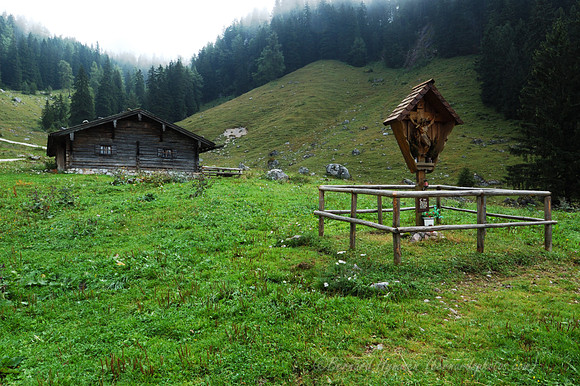 D70_18433