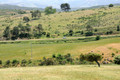 D300_46277.jpg