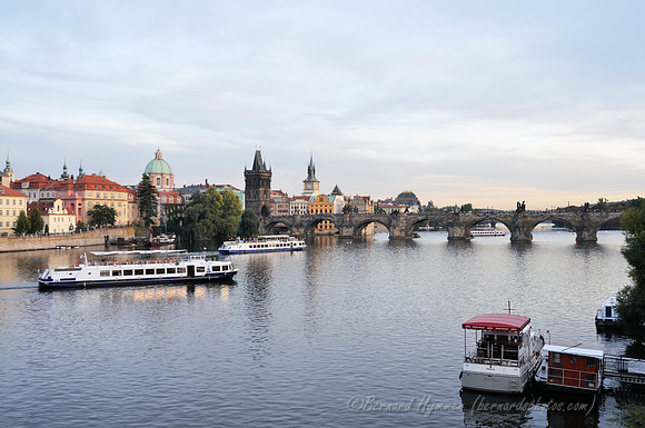 D300_74216