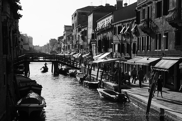 D300_45758.jpg