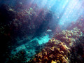 SD800_58587