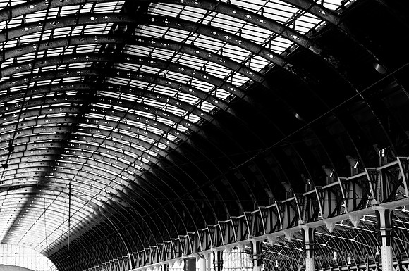 D300_98939