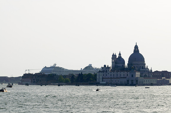 D300_44928.jpg