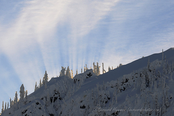 D300_59557