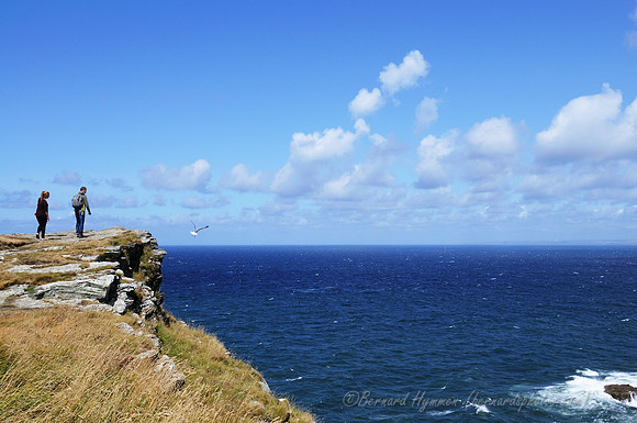 D300_100908