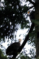 D300_68401