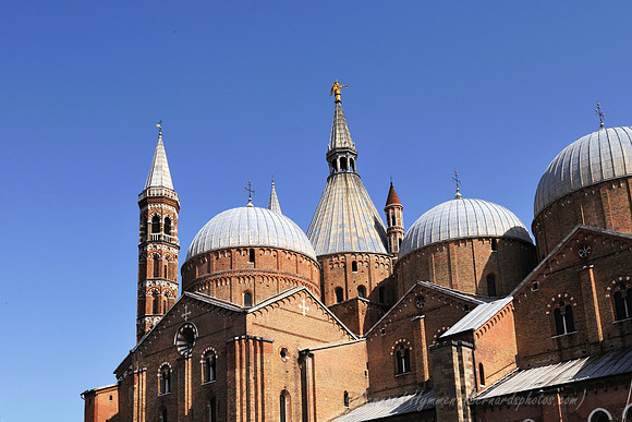 D300_47564.jpg