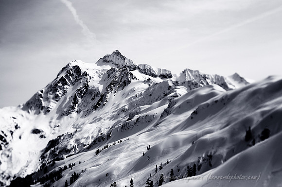 D300_54761