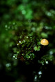 D70_12366