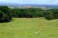 D300_99402