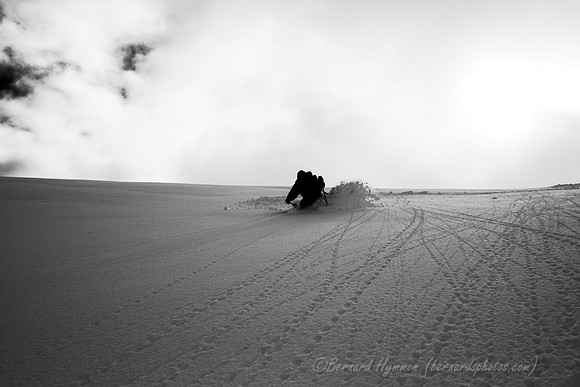 D300_31063