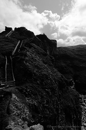 D300_100839