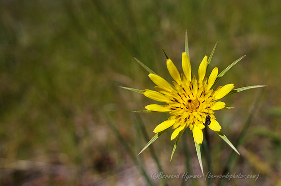 D300_72240