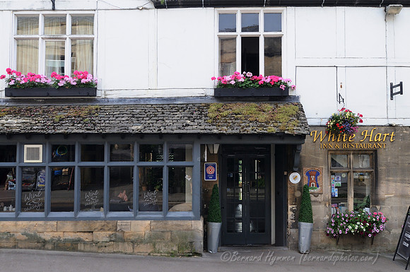 D300_99126