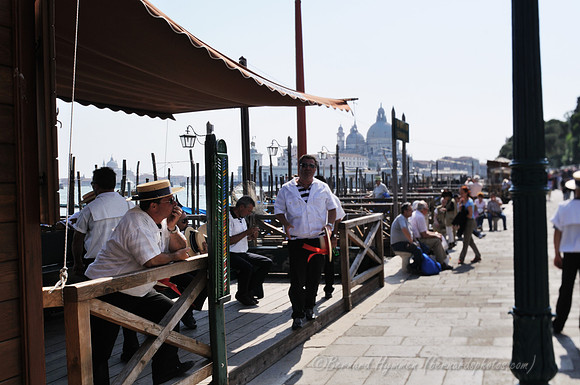 D300_44561.jpg