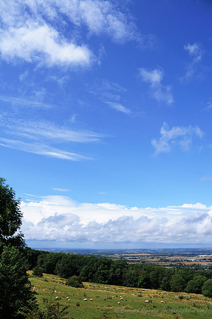 D300_99427
