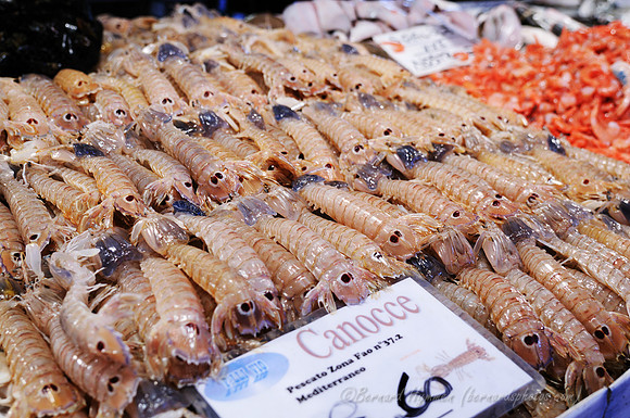 D300_45424.jpg