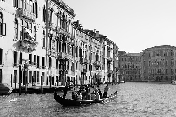 D300_45709.jpg