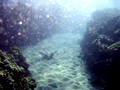 SD800_58580