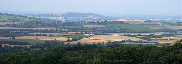 pano_D300_99210-99211