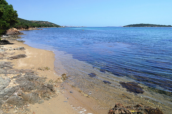 D300_45879.jpg