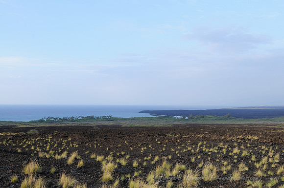 D300_92863