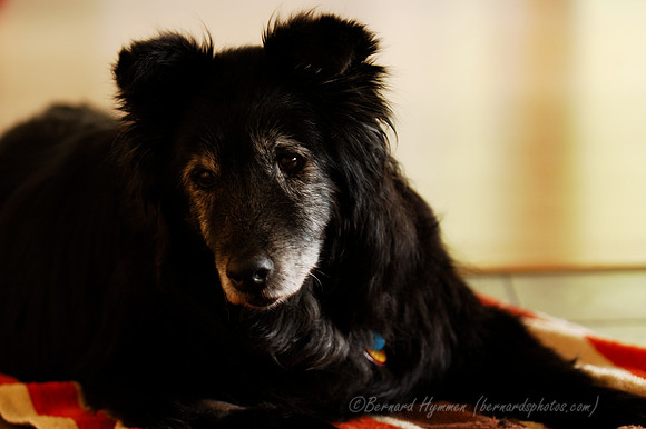 D70_21651.jpg