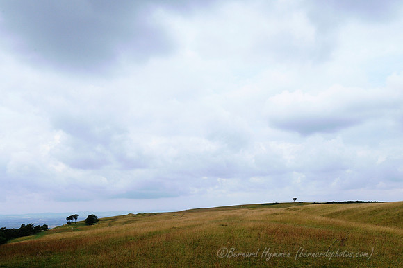D300_99024
