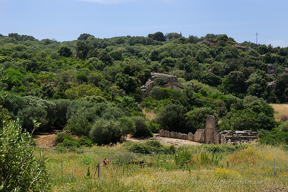 D300_47262.jpg