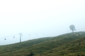 D70_18368