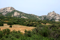 D300_47290.jpg